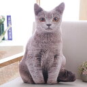 猫 猫ちゃん 動物 ぬいぐるみ 抱き枕 クッション 3D印刷 おもちゃ ふわふわ かわいい 個性的 子供 ギフト (50CM, ブラック)