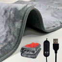 電気毛布 大判ガーソケット USB 2タイプ選択 速暖 9段階調温 5段階定時 12V 洗濯機対応 車用 カーペット ヒーター 電熱 ブランケット ミニ ホットカーペット ウォッシャブル 電気敷きパッド シングル ダブル (車載電源-シングル