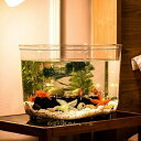 金魚鉢 水槽 飼育水槽 プラスチック テラリウム 透明アクリル 観葉植物 インテリア 容器 テーブル アクアリウム ボウル 水培 大容量 おしゃれ メダカ 鉢 インテリア 花瓶 透明 L