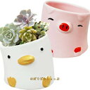 植木鉢 2個セット 多肉植物鉢 かわいい ミニ陶器鉢 癒し 鴨 豚 動物型 サボテン鉢 円筒形 小型 家庭 オフィス 窓 卓上 部屋 飾り プレゼント 3号鉢相...