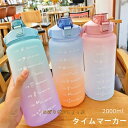 水筒 目盛り付き 水筒 2L ウォーターボトル 2リットル タイムマーカー 携帯便利 漏れ防止 ストロー付き 子供 キッズ 目盛り 大容量 軽量 直飲み 女の子 おしゃれ スポーツ かわいい 女子 プラスチック スポーツボトル 部活 通学通勤(4)
