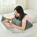 抱き枕 かわいい おもちゃ 子供用 寝まくら 大きい かわいい ぬいぐるみ 抱きまくら ヨガ抱き枕 腰当て枕 ベッドヘッドクッション 妊婦の腰枕(3)