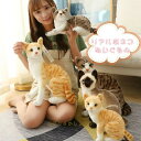 猫 ぬいぐるみ リアル シャムネコ タヌキ猫 茶トラ猫 ペット シャム猫 ねこ 本物 そっくり ネコ 子ども キッズ ギフト クリスマス プレゼント 子供 女の...