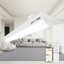 スマートコントロール蛍光灯 リモコン付き LEDベースライト 40W形2灯相当 50W逆富士 10000lm 調光・調色 LED蛍光灯器具 一体型 一体型照明 天井直付 直管蛍光灯 薄型天井