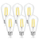 FLSNT LED電球 E26口金 60W形相当 電球色 エジソン電球 6W 806lm 2700K フィラメント電球 エジソンランプ シャンデリア用 レトロ電...