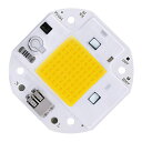 LED COBチップ-50W / 100W LED電球、220VスマートIC |ちらつきなし超高輝度SMD発光体コンポーネントダイオード