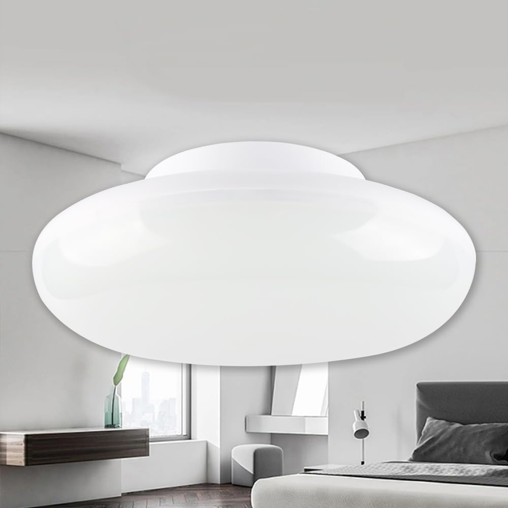 LEDライト LEDシーリングライト 昼白色 5000k 5000lm 25W シーリングライト 6畳 8畳 小型 直径25cm LED照明器具 天