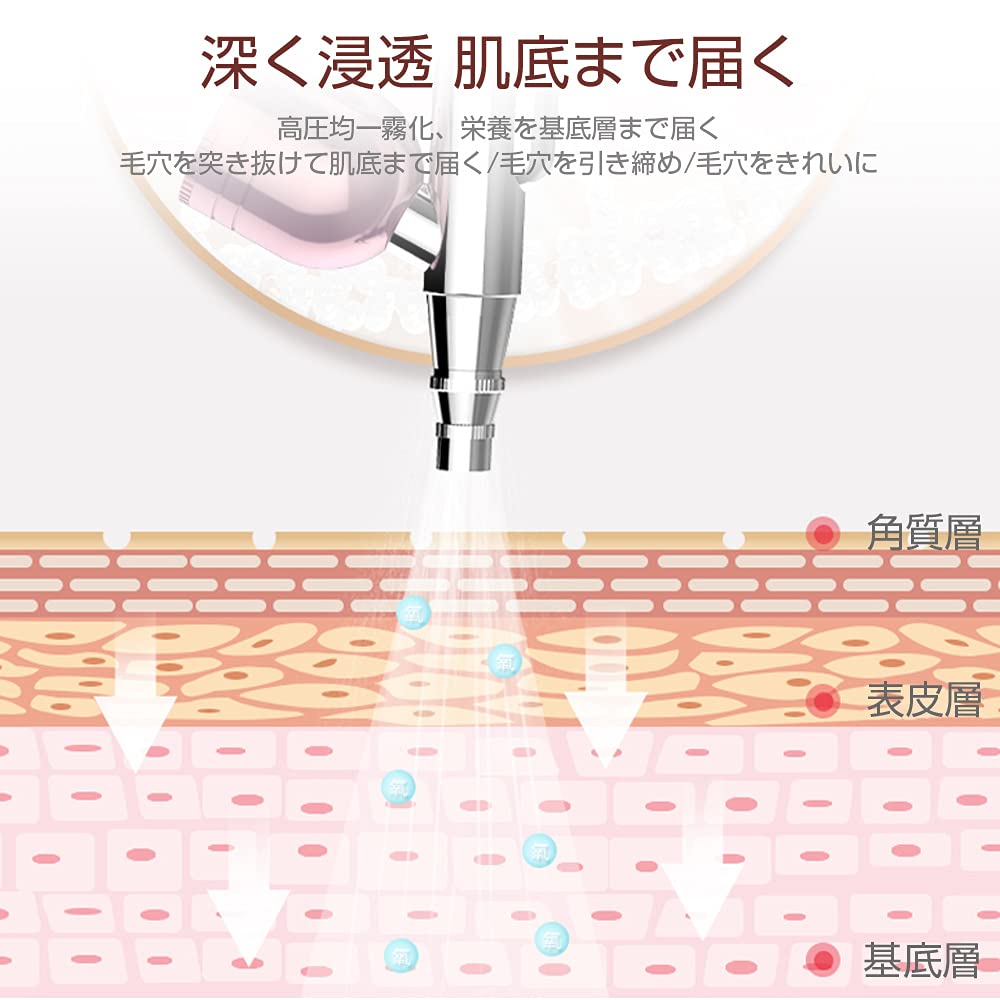 【即日発送】 ブライト シャワードライヤー BRT-SD173 ヘアケア ナノミスト 4580785295175