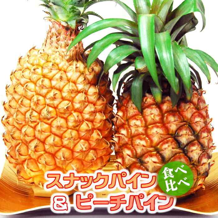 パイナップル 食べ比べ 沖縄県 スナックパイン L(1kg以上)×1玉 ピーチパイン M(600g以上) ×2玉 母の日 父の日 ギフト…