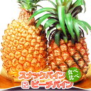 パイナップル 食べ比べ 沖縄県 スナックパイン L(1kg以上)×1玉 ピーチパイン M(600g以 ...