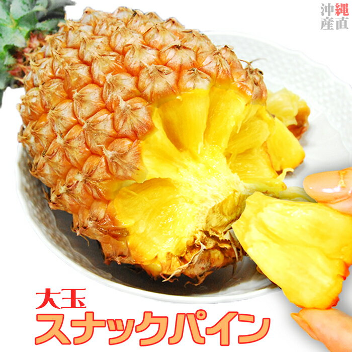 パイナップル ちぎって食べる スナックパイン 沖縄県 大玉 Lサイズ 2kg (約1kg×2玉) ボゴール パイン お中元 御中元 ギフト プレゼント 送料無料 お取り寄せ グルメ フルーツ パインアップル 父の日 贈答 内祝 内祝い 果物 ふるさと 沖縄 産直 期間限定 くだもの