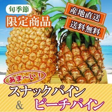 母の日 ギフト 食べ比べ スナックパイン L〔1kg以上〕& ピーチパイン L〔800g以上〕 送料無料 パイナップル パイン 沖縄産 お中元 贈答用 父の日 プレゼント 果物 トロピカル フルーツ 期間限定 果実 パインアップル