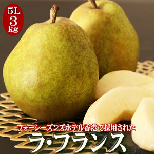【高級果物】秋の旬フルーツ！ジューシーで美味しい洋梨のおすすめは？