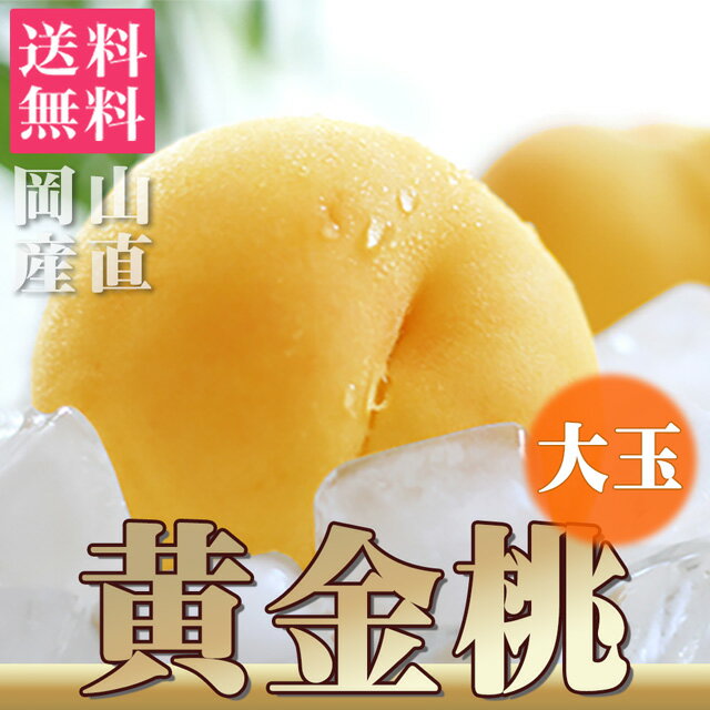 桃 黄金桃 大玉（約340g×5個)約1.7kg 送料無料 敬老の日 ギフト プレゼント もも モモ ピーチ 岡山 ふるさと 産直 フルーツ 果物 くだもの 果実 内祝い 内祝 誕生日 お祝い 御祝 御礼 お彼岸 彼岸 御供 お供え 贈答品 贈答 贈り物 秋の味覚 中秋 旬 生