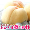 【新品種】岡山県 大きい甘い! 新白桃 おかやま夢白桃 中大玉約1.5kg 約290g×5個 ギフト プレミアム 初盆 新盆 お供え 御供 お中元 御中元 送料無料 桃 夏 ふるさと 産直 果物 くだもの 果実 フルーツ お取り寄せ グルメ プレゼント 贈答 贈答用 進物 御礼 内祝 内祝い