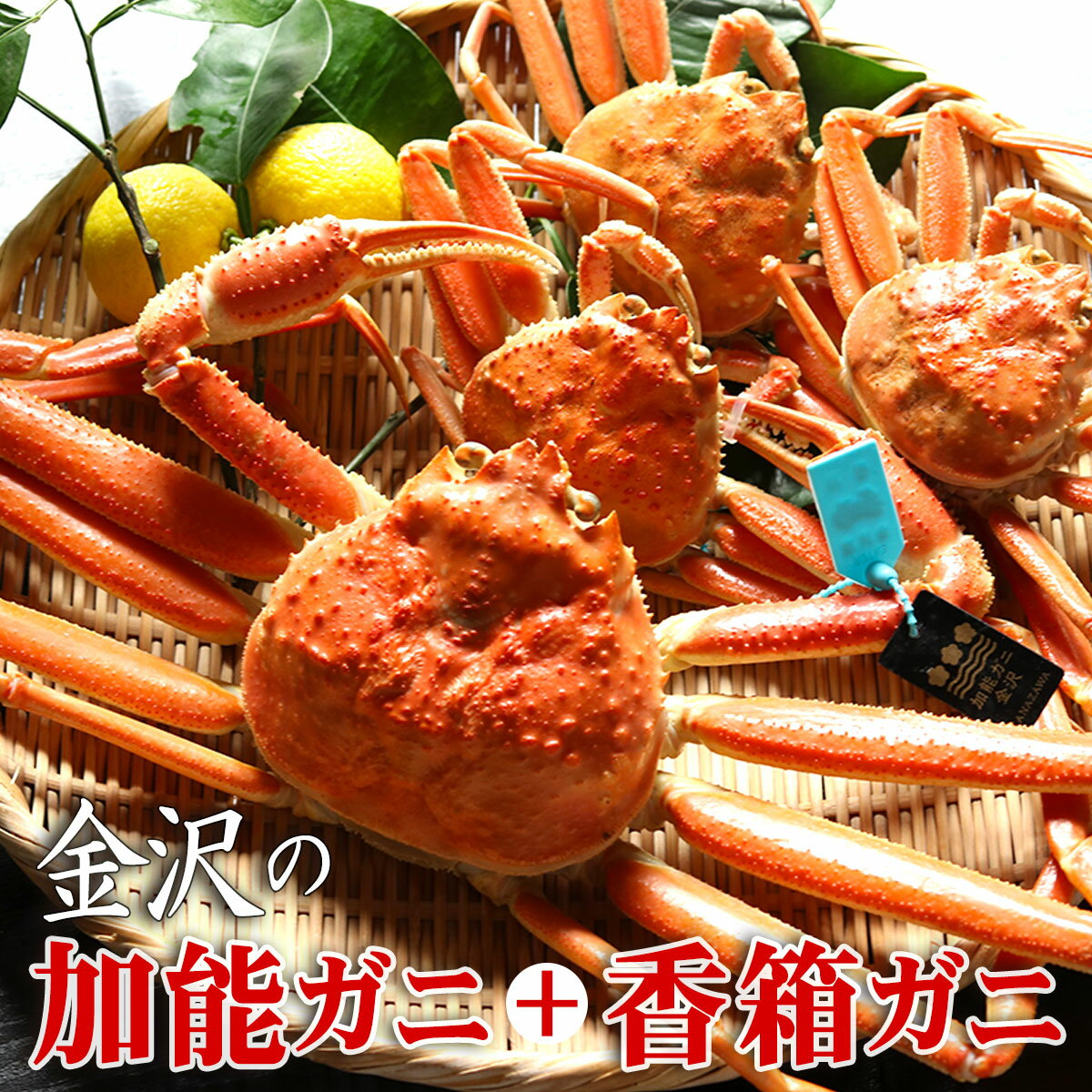 ★希少めす蟹入りセット★ 石川県 本ズワイガニ 加能蟹1杯×