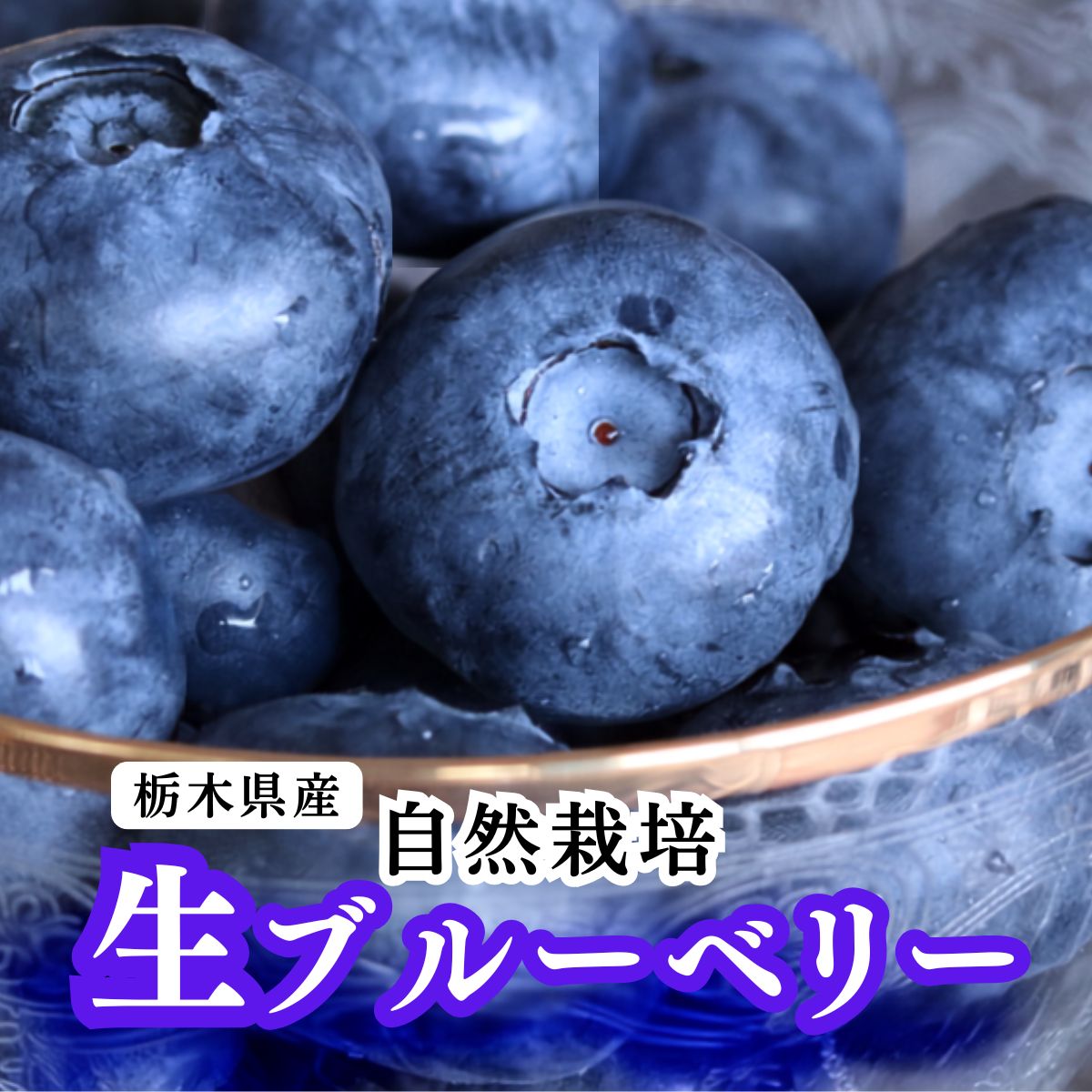 父の日 ギフト 栃木県 生 ブルーベリー 大粒 1kg 約500g×2パック 無農薬 自然栽培 ...