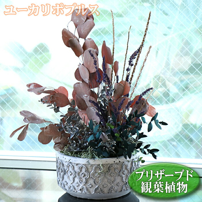 観葉植物 フェイクグリーン ユーカリ ポプルス 送料無料 ローポットL プリザーブド プリザーブドフラワー プリザ 造花 置物 オブジェ ギフト 贈答 アーティフィシャルフラワー 人工観葉植物 開店祝い 新築祝い カフェ 美容院 おしゃれ 花以外 お祝い プレゼント インテリア