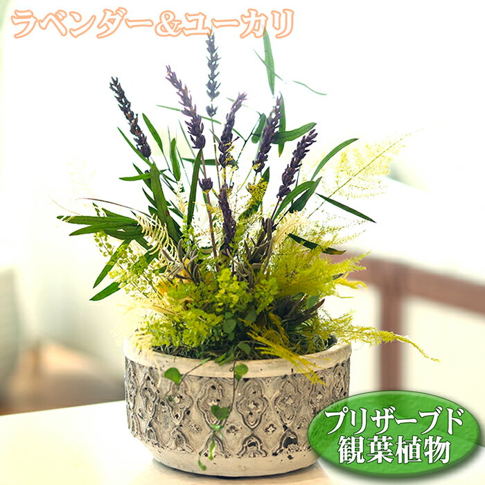 観葉植物 プリザーブドフラワー 送料無料 フェイクグリーン ラベンダー＆ユーカリ ローポットS プリザーブド 造花 アーティフィシャルフラワー 人工観葉植物 置物 プリザ オブジェ インテリア 開店 開業 開院 祝い サロン 贈答 おしゃれ お祝い プレゼント ギフト 卓上