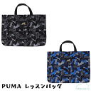 【メール便送料無料】PUMA プーマ レッスンバッグ PM3