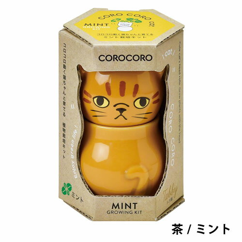 ★楽天ランキング受賞★ 【送料無料】GD-1026 COROCOROcat 3個セット コロコロキャッ...
