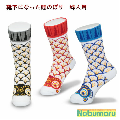 【メール便送料無料】こい屋 鯉のぼり靴下 婦人 鯉のぼり 黒 赤 青 かわいい おしゃれ 縁起がいい 22〜25cm 親子でお揃い