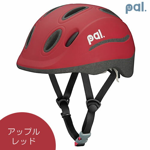 sg 自転車用ヘルメット 規格