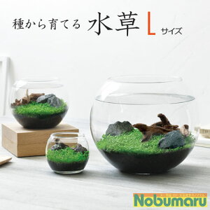 おしゃれな水槽インテリア 初心者でも簡単に始められるアクアリウム水槽セットのおすすめランキング わたしと 暮らし おしゃれな水槽インテリア 初心者でも簡単に始められるアクアリウム水槽セットのおすすめランキング わたしと 暮らし