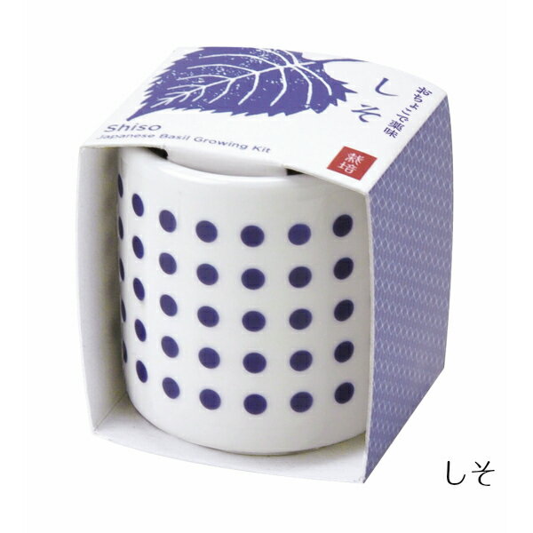 楽天市場 送料無料 おちょこで薬味栽培セット ４個セット しそ 唐辛子 わさび菜 三つ葉 ミニ 日本 かわいい おしゃれ 自宅 キッチン 簡単 母の日 父の日 ギフトgd0 01 Gd0 02 Gd0 03 Gd0 04 Nobumaru