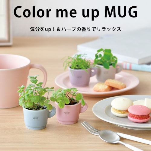 yzColor me up MUGiJ[~[Abv}Oj 4Zbg ~j n[u bNX tbV }OJbv 킢   Lb` ̓ ̓ Mtg bsOΉGD969-01/GD969-02/GD969-03/GD969-04