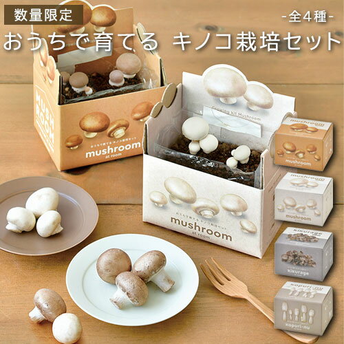【2点以上同時購入で送料無料】おうちで育てるキノコ栽培セット 栽培セット ブラウンマッシュルーム ホワイトマッシュルーム キクラゲ コプリーヌ 料理 パスタ 中華 室内 神秘的 自宅 キッチン 簡単 母の日 父の日 ギフトGD970-01/GD970-02/GD970-03/GD970-04のサムネイル