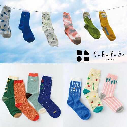 楽天NOBUMARU【2枚以上同時購入でメール便送料無料】gaRaPago（ガラパゴ） sox 靴下 ソックス3 レディース コットン 選べるデザイン かわいい おしゃれ トランプ お花 蝶々 ネギ 野菜 パレット キッチン 天文学 微生物学 人類生物学 植物学 音楽学