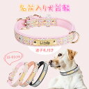 【名入れ可】犬 首輪 名入れ かわいい 名前 入り 迷子札 名前入り オーダーメイド 刻印無料 ネーム入り ネームタグ 柔らかい 小型犬 中型犬 大型犬 ペット...