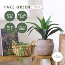 【1日★80名限定★全品5%OFFクーポン】 フェイクグリーン アカベ 【送料無料】 観葉植物 造花 ハンギング 卓上 置き型 小さい インテリア 屋内 室内 ...