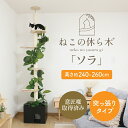 フェイクグリーン付き キャットタワー つっぱり式 【送料無料】 突っ張り 天井 スリム おしゃれ おすすめ シンプル 爪とぎ 隠れ家付き 木製