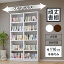 本棚 頑丈 大容量 書棚 スリム A4 収納棚 リビング オフィス 収納 ファイル ラック オープンラック コミックラック マルチラック 薄型 漫画 文庫本 CD DVD ファイル収納 ファイルラック 幅116cm