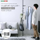 【15日★90名限定★全品5%OFFクーポン】 つっぱり ポールハンガー フック大小各3個付き 収納 玄関 おしゃれ 突っ張り棒 インテリア 天井 衣紋掛け コ...