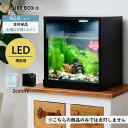 【増設用】 水草が枯れない LED付き キューブボックスα アクア 本体 単品 【送料無料】 アクアリウム アクリル水槽 おしゃれ メダカ水槽 室内 レイアウト 30cm インテリア コンパクト 木製 台座