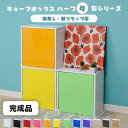 【完成品】カラフル12色から選べる 扉付き 薄型 キューブボックスα ハーフ 彩 木製 収納棚 カラーボックス スリム 浅型 飾り棚 鏡面 ホワイト ブラック 白 黒 ピンク 他 卓上 ミニ食器棚