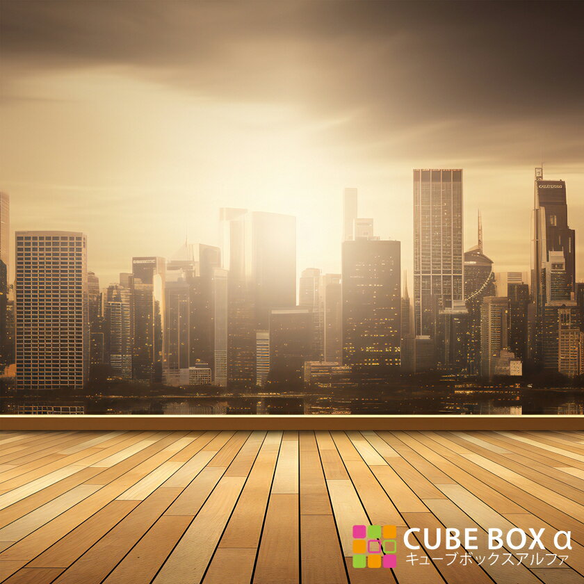 【1日限定★5%OFFクーポン】 【CBA CBH 専用背面デザインシート】 夕日 ビル 屋上 風景 背景 摩天楼 都..