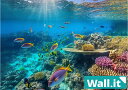 【Wall.it A4 フィギュアディスプレイケース専用背面デザインシート 横向】 海中 熱帯魚 風景 水族館 アクアリウム 水中 サンゴ スキューバダイビング 海底