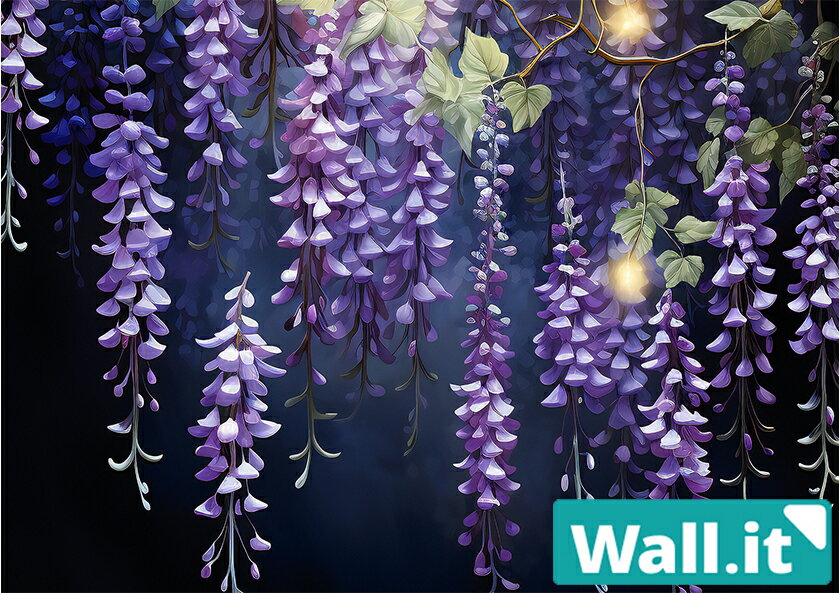 Wall.it A4 ե奢ǥץ쥤̥ǥ󥷡  ƣβ    