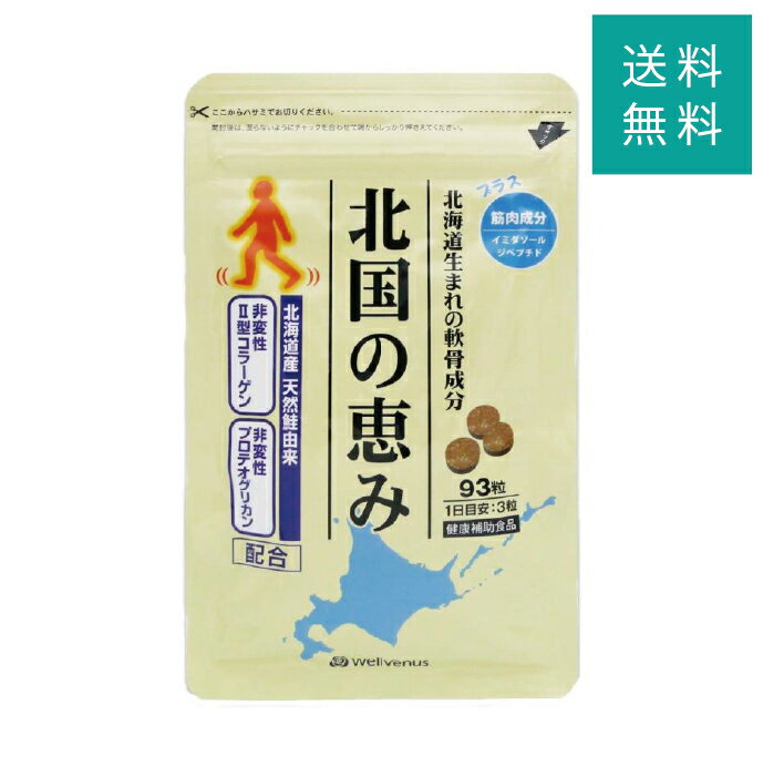 北国の恵み 93粒 約1ヶ月分 グルコサミン プロテオグリカン ウェルヴィーナス