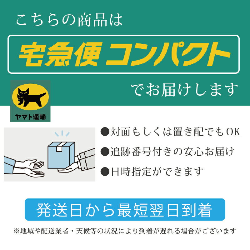 【 2本セット 】シロル SHIRORU クリスタルホイップ 炭酸 泡洗顔 炭酸洗顔 炭酸泡 濃密泡 洗顔 毛穴 くすみ 黒ずみ crystal whip 120g 2