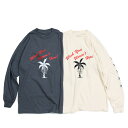 【最大1000円OFFクーポン配布中】 JUNGLES WISH YOU WERENT HERE LS TEE ジャングルズ Tシャツ メンズ 長袖 ロンT アイボリー チャコールグレー JTL181034