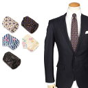 【最大1000円OFFクーポン配布中】 ENGINEERED GARMENTS TIE エンジニアド ガーメンツ ネクタイ メンズ ストライプ 結婚式 20S1...