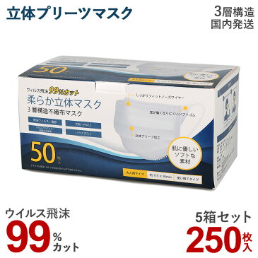 マスク 250枚 箱 不織布 5箱セット 99%カット 衛生 使い捨て 三層構造 大人用サイズ ウイルス 花粉 防塵 飛沫感染 PM2.5 風邪 ハウスダスト 男女兼用 箱 衛生用品 立体 プリーツ ホワイト 白 【予約 5月上旬 随時出荷予定】 【返品不可】