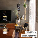 DRAW A LINE ドローアライン つっぱり棒 フック トレー テーブル マグネット 5点セット 伸縮棒 ものほし竿 洗濯物干し ハンガー 収納棚 ラック ...