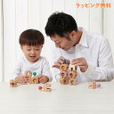 ジェニ GENI 積み木 ブロック Cobit-12pieces- 3歳から 知育玩具 おもちゃ 木のおもちゃ エドインター GENI ジェニ 男の子 女の子 ...