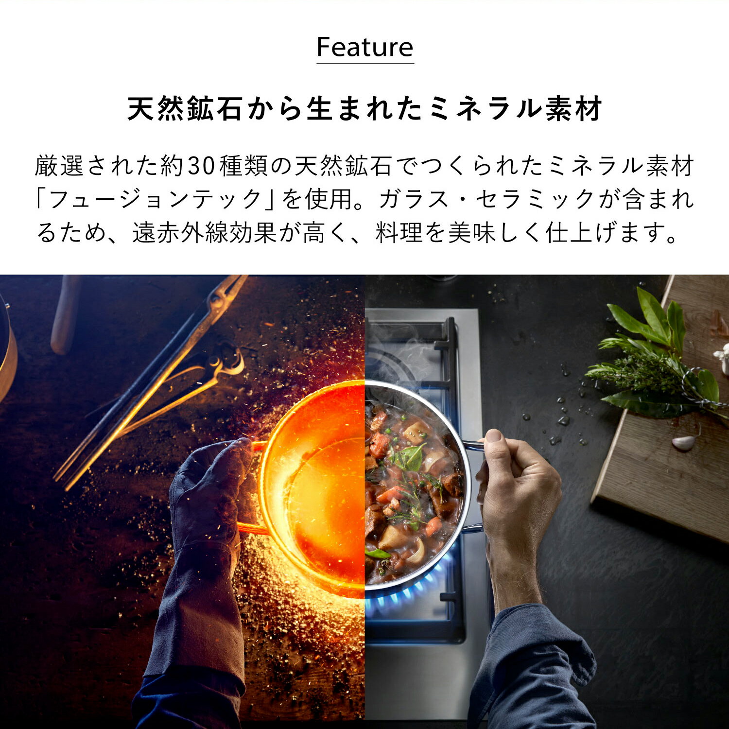 ����ŵ�դ��� WMF MULTIPOT ���������२�� �� �ݥå� �ե塼�����ƥå� �ߥͥ�� �ޥ���ݥå� 14cm IH�б� W0515535290